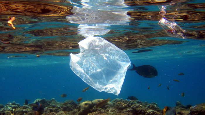 Elf Millionen Tonnen Plastik vermüllen den Meeresboden