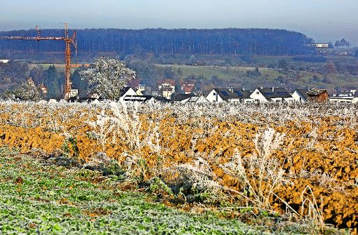 Wo jetzt noch Felder sind, möchte die CDU – in der Nachbarschaft zum Wohngebiet Am Berg – Gewerbeflächen entwickeln. Foto: Horst Rudel