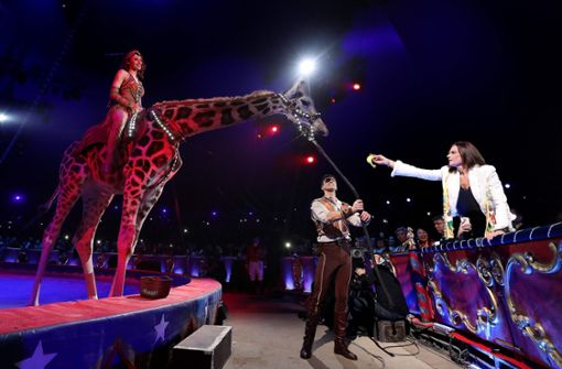 Die Giraffe bekommt von Stephanie von Monaco eine Banane. Dennoch: An Dressur-Nummern mit Tieren im Zirkus scheiden sich die Geister. Foto: dpa
