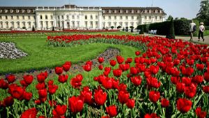 Sehr beliebt und weithin bekannt: Das Blühende Barock ist das Aushängeschild der Stadt Ludwigsburg. Foto: /factum/Simon Granville
