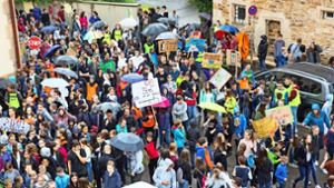 Im Juli gingen mehr als 1000  Schüler für den Klimaschutz auf die Straße. Foto: / Rudel/Archiv