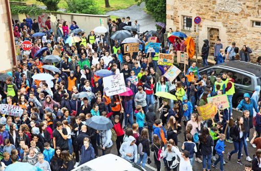 Im Juli gingen mehr als 1000  Schüler für den Klimaschutz auf die Straße. Foto: / Rudel/Archiv