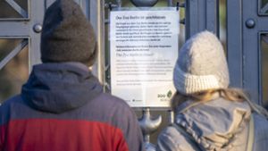 Besucher lesen den Aushang am geschlossenen Tor am Eingang zum Berliner Zoo. Foto: dpa/Monika Skolimowska