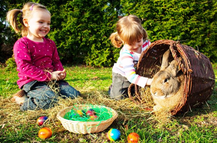 Osterbräuche im Check: Wieso verstecken wir bunte Eier – und woher kommt der Osterhase?