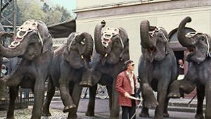Im Jahr 1983 warb Wolfgang Dorsch mit Elefanten, die er von einem Zirkus ausgeliehen hatte, für den Bahnhof in Geislingen. Foto: privat