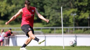 VfB-Spieler Mario Gomez tritt aus der Nationalmannschaft zurück. Foto: Pressefoto Baumann