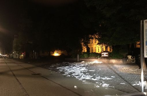 Nicht zum ersten Mal sorgten Abiturienten in Heidelberg für Unruhe. Foto: Polizeipräsidium Mannheim