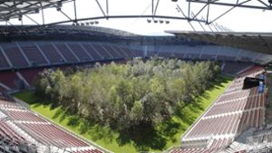 Bäume im Stadion sollen ein Mahnmal zum Schutz des Waldes sein. Foto: dpa