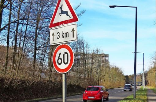Viele Autofahrer wissen nicht, was dieses Schild bedeutet: Muss man die kommenden drei Kilometer auf Wildwechsel achten? Oder gilt drei Kilometer lang Tempo 60? Foto: Julia Bosch