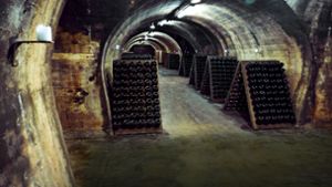 Die  untersuchten Stollen dienen heute als Lagerräume für Weingüter. Foto:   Alexander Müller Foto:  