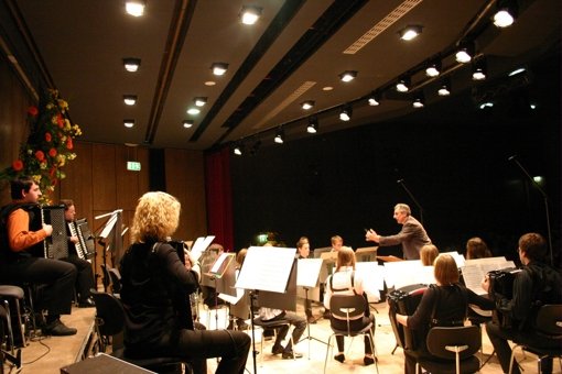 Ein Konzert des Handharmonika-Clubs „Flottweg“ im Jahr 2008. Foto: Martin Bernklau