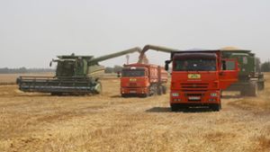 Mehrere EU-Staaten fordern von der Europäischen Kommission Importbeschränkungen für russisches Getreide. Foto: Vitaly Timkiv/AP/dpa