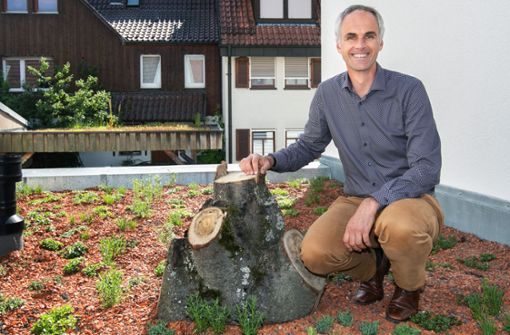 Bürgermeister Matthias Ruckh auf dem bepflanzten Dach. Die Pflanzen sind winterfest und können das ganze Jahr dort bleiben. Foto: /Ines Rudel