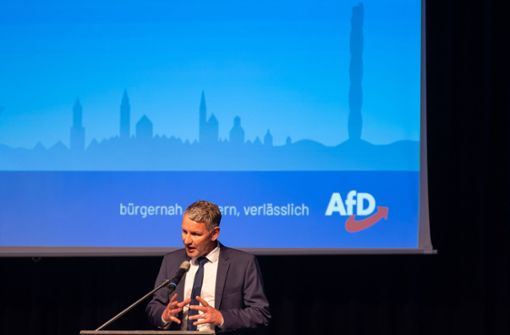 Erwiesen rechtsextrem: Thüringens AfD-Fraktionschef Björn Höcke Foto: dpa/Silas Stein