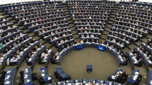 Befürworter müssen nächste Woche um die Mehrheit bei der Abstimmung im Europaparlament über die Urheberrechtsreform bangen. Foto: dpa