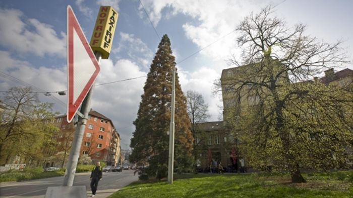 CDU fordert einen Weihnachtsbaum