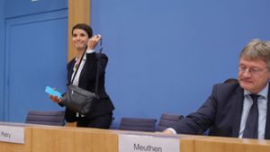Der AfD-Vorsitzende Jörg Meuthen (rechts) und seine Ko-Chefin Frauke Petry. Foto: dpa