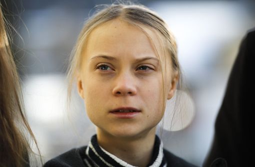 Greta Thunberg ist eine von vier Empfängern des Right Livelihood Award 2019 Foto: AP/Markus Schreiber