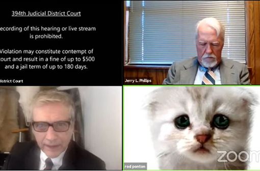 Während eines virtuellen Gerichtsverfahrens hatte Anwalt Rod Ponton (unten rechts), versehentlich einen Katzenfilter  aktiviert. Foto: dpa/Judge Roy Ferguson