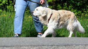 Hundehalterin auf Spaziergang: Auf Friedhöfen ist das Mitbringen von Vierbeinern  verboten. Foto: dpa/Bernd Weissbrod