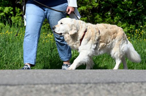 Hundehalterin auf Spaziergang: Auf Friedhöfen ist das Mitbringen von Vierbeinern  verboten. Foto: dpa/Bernd Weissbrod