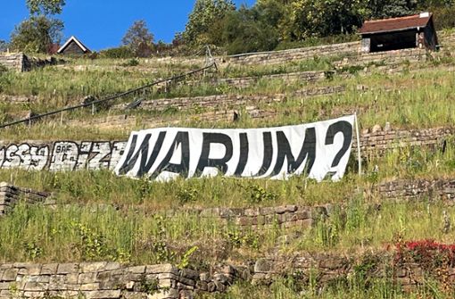 Ein großes Banner mit der Frage „Warum?“ ist auf einem Weinberg  an der Stuttgarter Weinsteige zu sehen. Foto: Vinzenz Kuntze