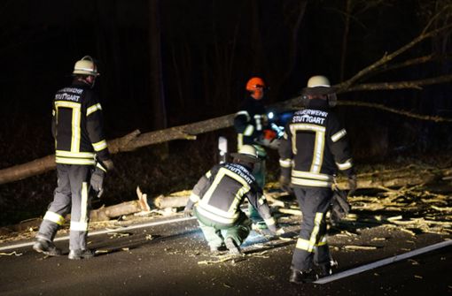 Orkan „Sabine“ erreicht den Südwesten. Die Stuttgarter Feuerwehr räumt einen umgestürzten Baum in Stuttgart beiseite. Foto: SDMG/SDMG / Kohls