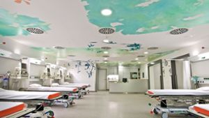 Ein Stück Natur Uwe Schäfers Deckenmalerei im Ruheraum der ambulanten Chirurgie. Foto: RBK