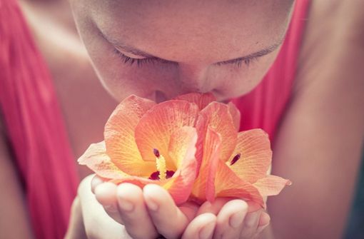 Sind wir olfaktorisch abgestumpft? Der Geruchssinn dient dem Menschen auch als Möglichkeit zur Orientierung. Foto: Unsplash/Andres Molina