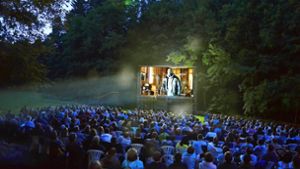 Treibt’s der Sommer toll, ist das Kino bei  der Zachersmühle voll. Foto: Rudel/Archiv