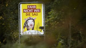 Bei Kaisersbach soll ein behelmtes Schweinchen rücksichtlose Motorradfahrer zur Einsicht bringen. Foto: Gottfried Stoppel