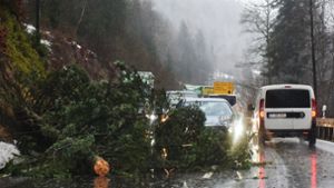 Erst kürzlich hatte Sturmtief „Burglind“ in Deutschland große Schäden angerichtet, wie hier im Schwarzwald. Foto: dpa