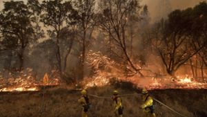 Feuerwehrmänner versuchen in Kalifornien einen Flächenbrand einzudämmen. Foto: AP