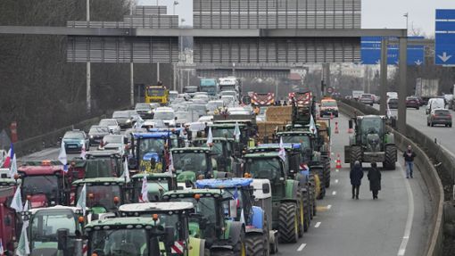 Seit Tagen demonstrieren  auch Frankreichs Landwirte. Foto: dpa/Michel Euler