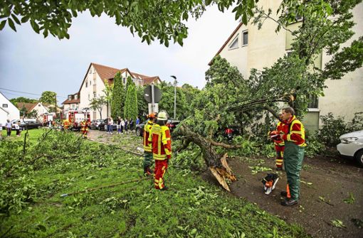 In diesem Jahr sind vor allem Bäume umgefallen, sagt der Kommandant von Filderstadt. Foto: 7aktuell.de/Simon Adomat