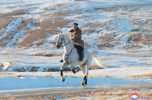 Kim Jong-un auf einem Pferd – ein bizarrer Auftritt. Foto: dpa