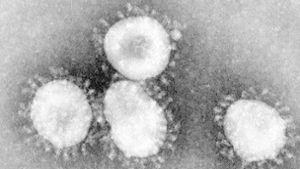 Ein Experte der Berliner Charité rechnet auch in Deutschland mit Coronavirus-Fällen. Foto: dpa/Center for Disease Control