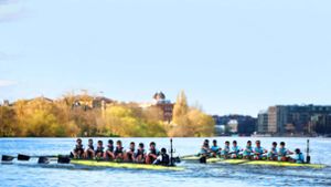 Beim 169. Wettrudern auf dem Fluss Themse triumphierte das Team aus Cambridge. Die Ruderer von Oxford waren durch eine Bakterieninfektion  geschwächt Foto: AFP/HENRY NICHOLLS