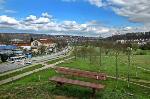 Die Stadt Wernau plant Foto: Roberto Bulgrin/bulgrin