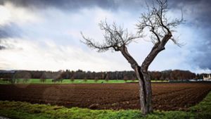 Landwirtschaftlich genutzte Böden (hier auf dem Birkacher Feld) hält Willfried Nobel für besonders schützenswert. Zuweilen eckt er damit an. Foto: Lichtgut/Achim Zweygarth