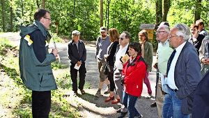 Hagen Dilling (links) erklärt den Bezirksbeiräten, nach welchen Überlegungen im Haldenwald Bäume gefällt worden sind. Foto: Stahlberg