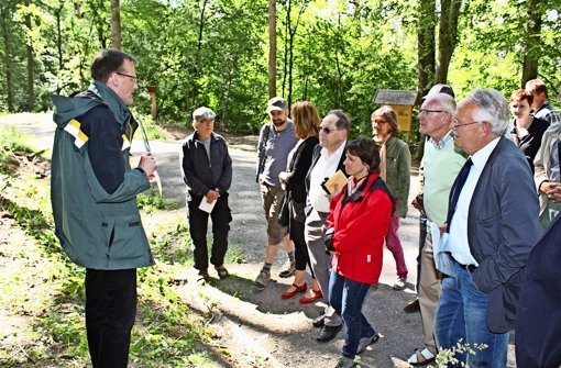Hagen Dilling (links) erklärt den Bezirksbeiräten, nach welchen Überlegungen im Haldenwald Bäume gefällt worden sind. Foto: Stahlberg