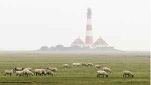 Schafe grasen vor dem  nebelverhangenen Leuchtturm Westerheversand auf der Halbinsel Eiderstedt im Nationalpark Schleswig-Holsteinisches Wattenmeer. Foto: Imago/Imagebroker