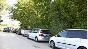 Immer wieder samstags stauen sich die Autofahrer   vor der Entsorgungsstation in Stetten. Foto: Natalie Kanter