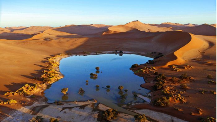 Namibwüste – im grünen Bereich
