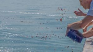 Von einem Motorboot streut Beat Rölli die Asche des Verstorbenen in den See. Die Angehörigen werfen Blütenblätter Foto: StZ