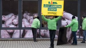 Vor einer Lidl-Filiale in Stuttgart haben Greenpeace-Aktivisten protestiert. Foto: dpa