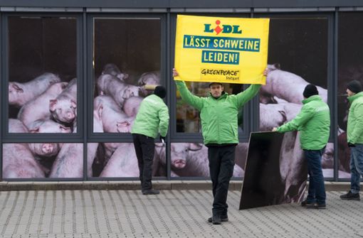 Vor einer Lidl-Filiale in Stuttgart haben Greenpeace-Aktivisten protestiert. Foto: dpa