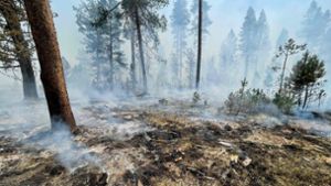 Bislang hat das Bootleg-Feuer rund 117 000 Hektar verwüstet. Foto: AFP