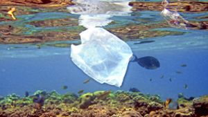 Plastikmüll im Meer wird zu einem immer größeren Problem. Foto: dpa